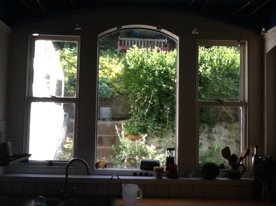 Kitchen window