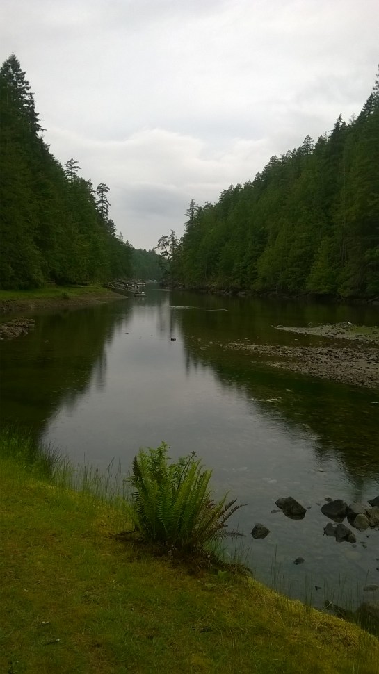 Windows Phone_20170530_001.jpg