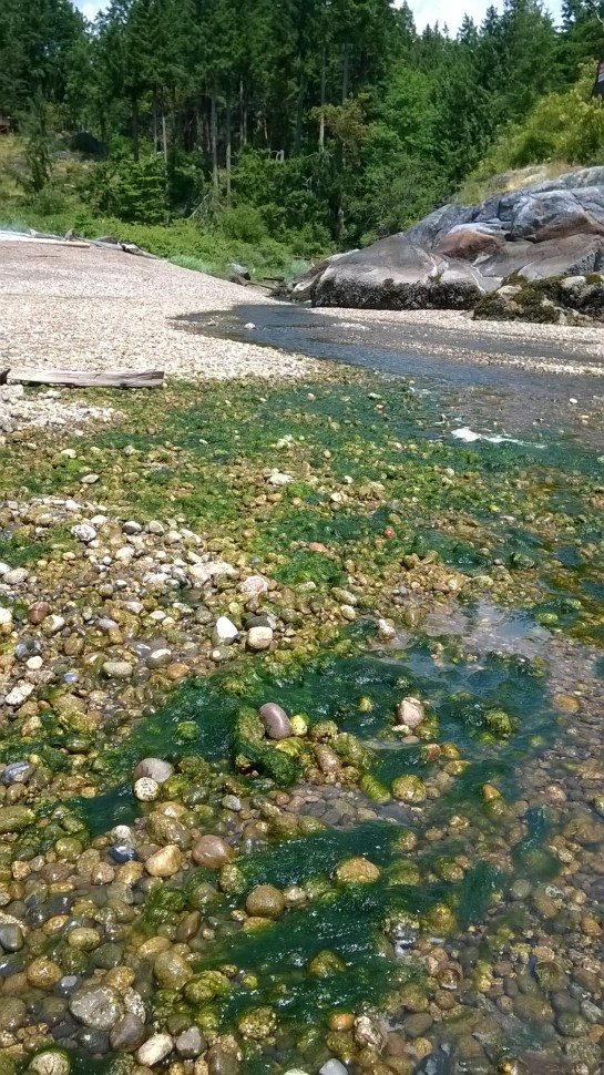 Windows Phone_20170610_024.jpg