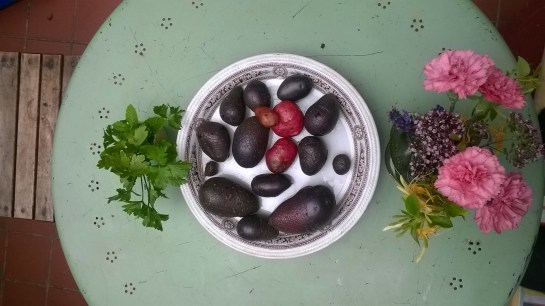 Windows Phone_20170723_002.jpg